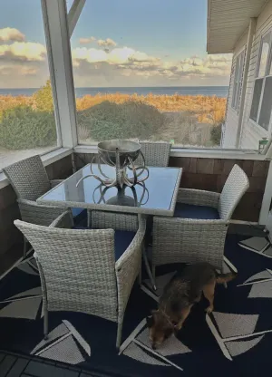 Image of Direct Ocean Views from your bed & screened-in deck.Pet friendly! 2br 2bth