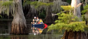 Image of Experience A 200 Acre Working Exotic Deer Ranch in Historic Jefferson Texas