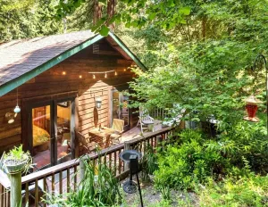 Image of AbsoluteZen:New Upgrades throughout!Happy Cabin in the Redwoods!Gameroom\/Pup