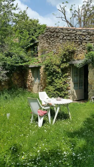 Image of The little house under the trees