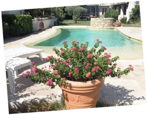 Image of Coquet 2 pièces au calme avec piscine (2/4 pers)