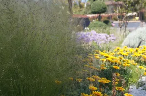 Image of Les Jardins De Santa Giulia - Charmante chambre dhte 2