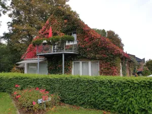 Image of Deichgräfin 3