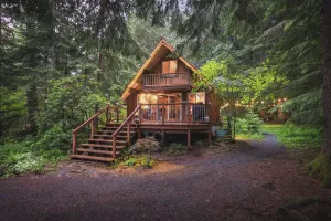 Image of Nisqually Nest Mt Rainier hot tub and sauna