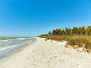 Image of Little Gasparilla Island Getaway