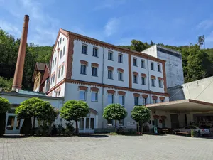 Image of Alte Brauerei Buchs