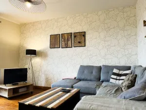Image of #ER Les Alliés The Bright and cosy T4 with view