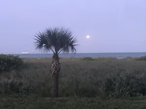 Image of COMPLETELY REMODELED in 2020 Direct Oceanfront View 1st Floor Condo