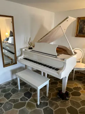 Image of Beethoven Apartment - Schloss Grabow, Resting Place & a Luxury Piano Collection Re