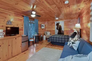 Image of *Cabin 3* Cave Run Cabins at Cave Run Lake!