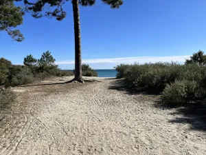 Image of Beautiful apartment 5 km from the beach and close to all amenities