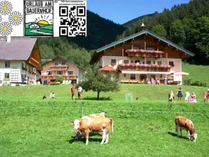 Image of Am Ferienbauernhof Schmiedbauer com Salzkammergut