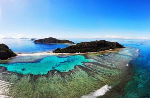 Image of Snorkeling with sharks (homestay)
