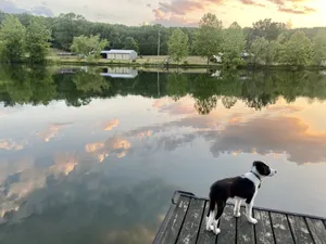 Image of Lake Longbow-10 acre private lake, 80 acres, 4-wheeler/walking trails, fishing