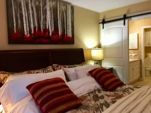 Image of New Exquisite 3BR Suite 5.3 miles to Vidant 2.2 miles to ECU 6.8 miles to DSM