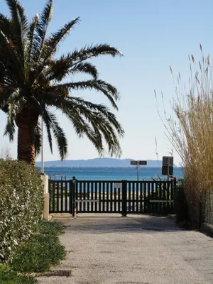 Image of Breathtaking sea view apartment on St Clair Beach.