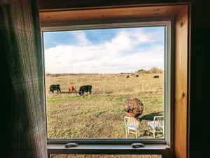 Image of The Cozy Cabin