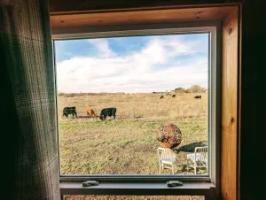 Image of The Cozy Cabin