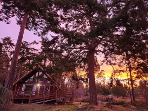 Image of Rustic A-Frame hot tub retreat near Deception Pass