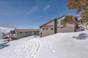 Image of Razorback 5