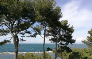 Image of La Cigaliere