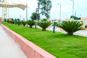 Image of RIVITA The Red Flag Dewas
