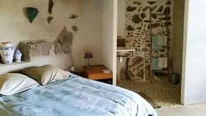 Image of Pyrénées Mon Amour