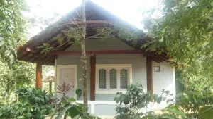 Image of Whispering Woods Coorg