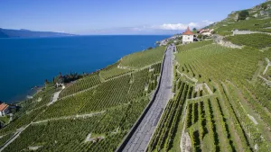 Image of Domaine du Burignon