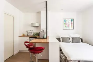 Image of Modern studio perfectly equipped and renovated