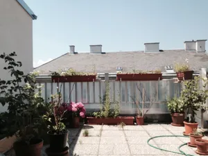 Image of Sunshine and Charity