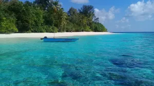Image of Chill holidays