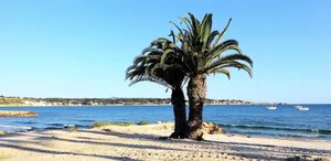 Image of L'imperial Azur