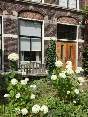 Image of Emma's home