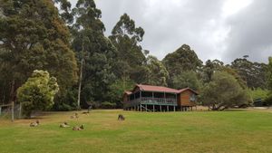 Image of Walpole Wilderness Resort