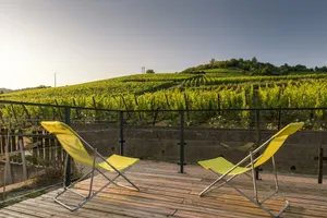 Image of Au pied des vignes, cocon douillet et chaleureux !