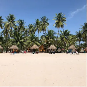 Image of Alles Beach Hotel