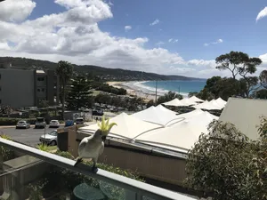 Image of Lorne World