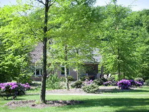Image of Design House With Fireplace at Bedafse Bergen