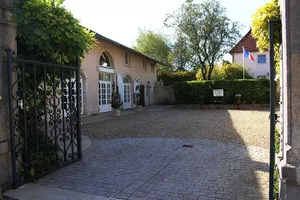Image of Les vrilles