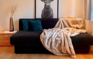 Image of Awesome Apartment in Dalaas With 1 Bedrooms and Wifi