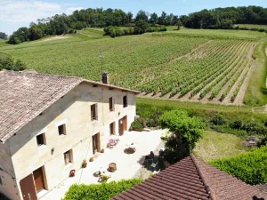 Image of La Petite Madeleine