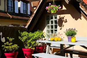 Image of Grand Duplex Ribeauvillé - LES Hydrangeas