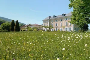 Image of Chateau De Benac