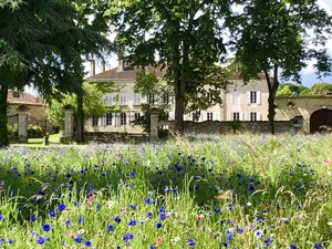 Image of Château Rouge 47