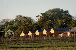 Image of Tuileries at De Bortoli Rutherglen