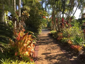 Image of Cane Village Holiday Park