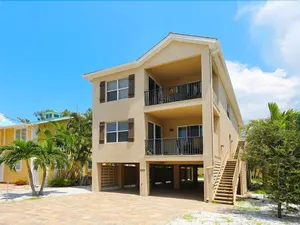 Image of Tropical Daze Upper