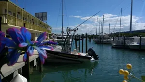 Image of Smuggler's Cove Resort & Marina