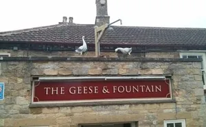 Image of The Geese and Fountain